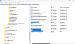 Registrierungs-Editor: WindowsUpdate